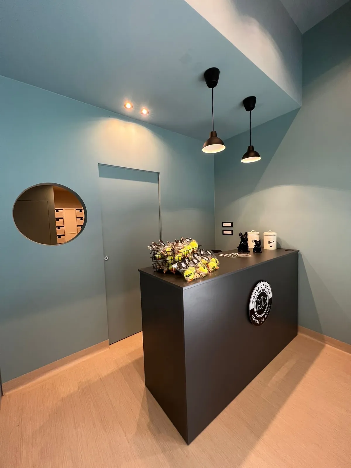 Area relax House of Dogs