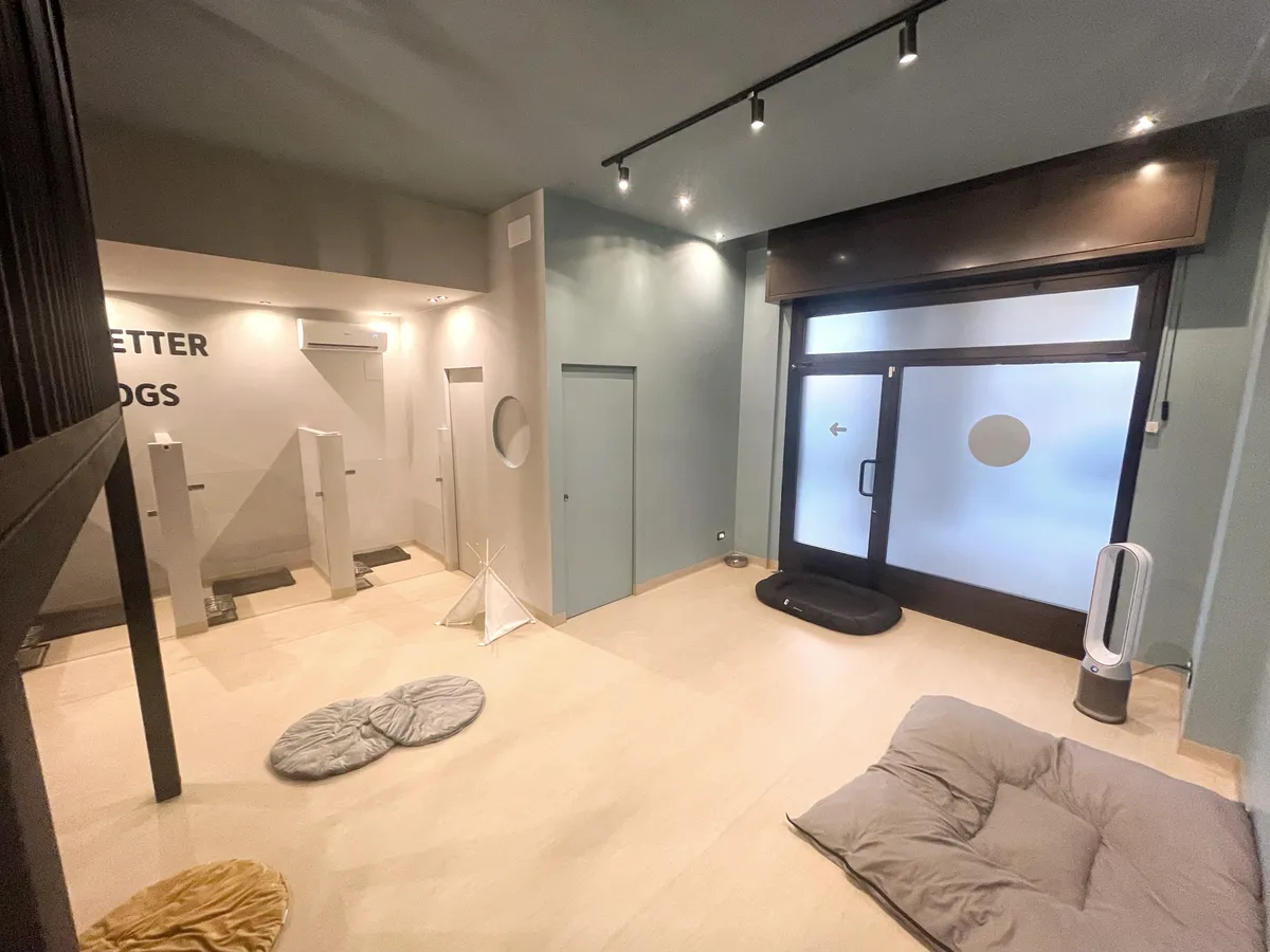Interno della struttura House of Dogs